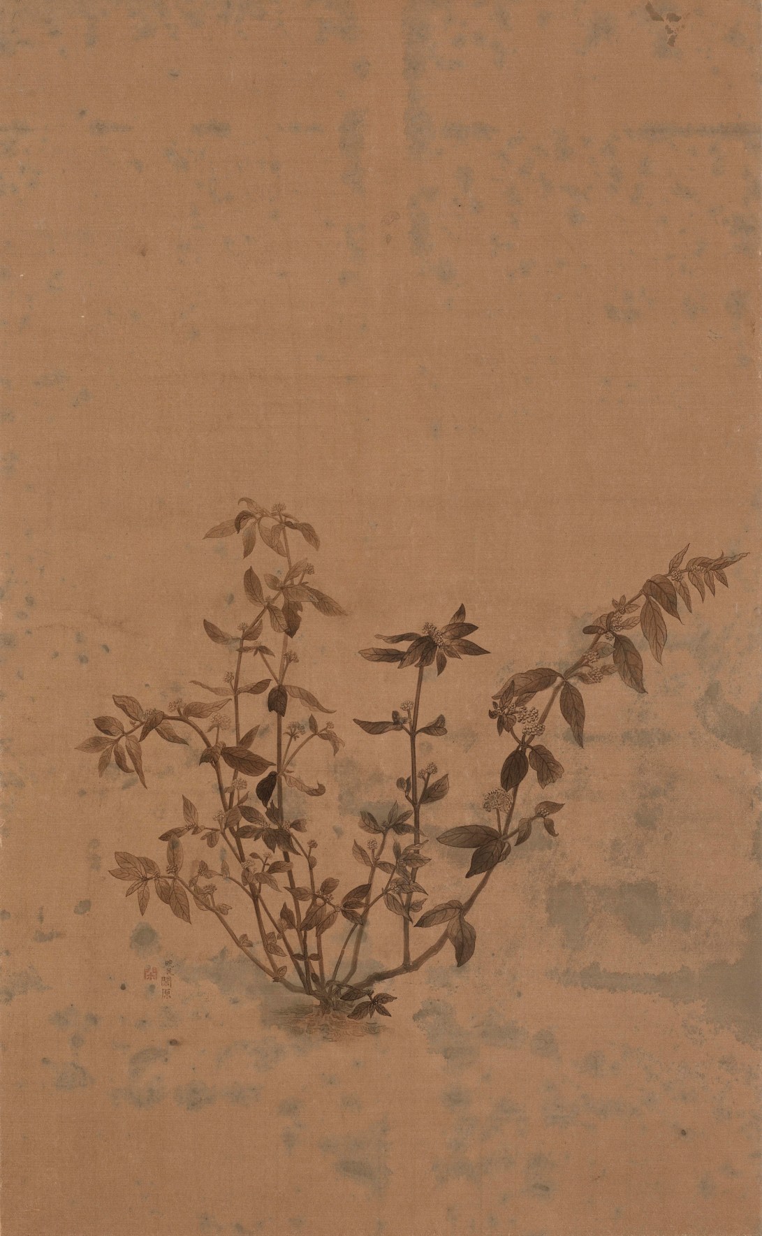08盛夏的野草 (1)2013 水墨、泥金宣 73x45cm(3.6才)