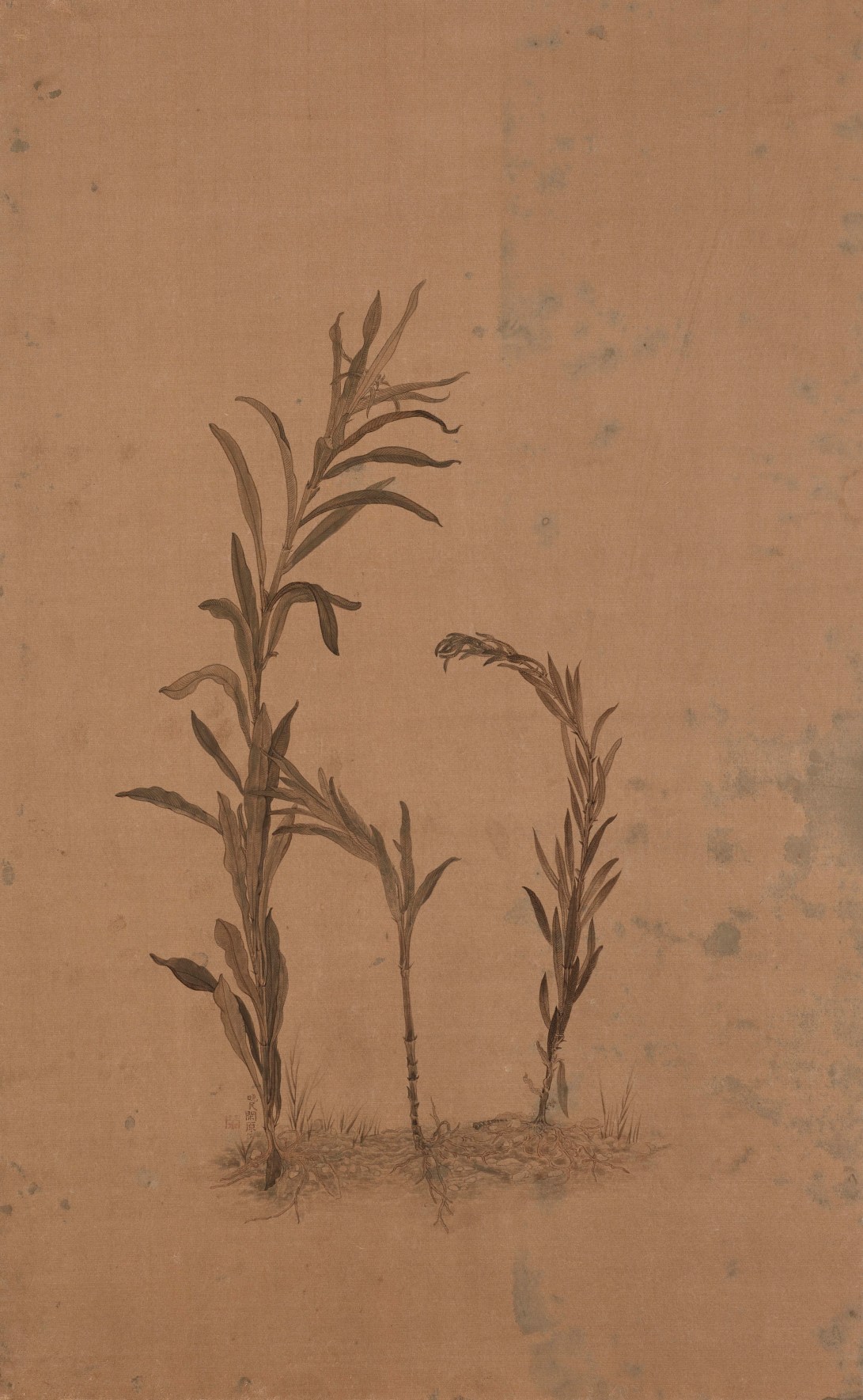 11盛夏的野草 (4)2013 水墨、泥金宣 73x45cm(3.6才)