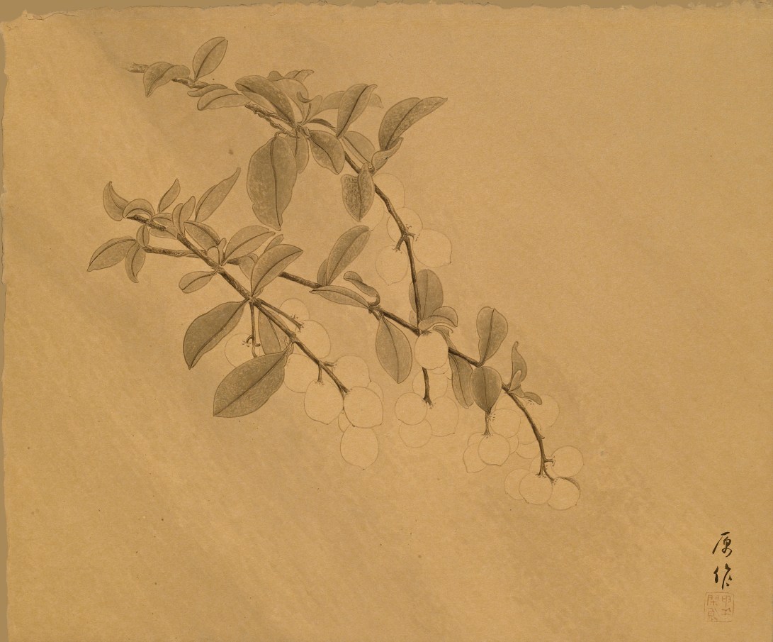 30雨季的原作 2014 水墨、泥金宣 38x46cm(2才)