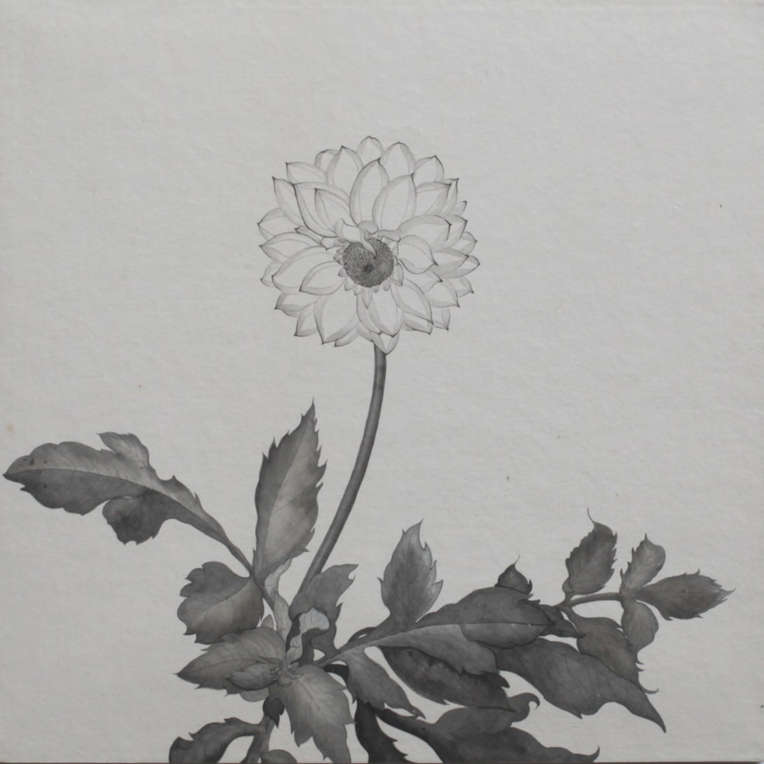 閑原 小草圖冊2- (15) 2012-2013紙本水墨畫 32x32cm