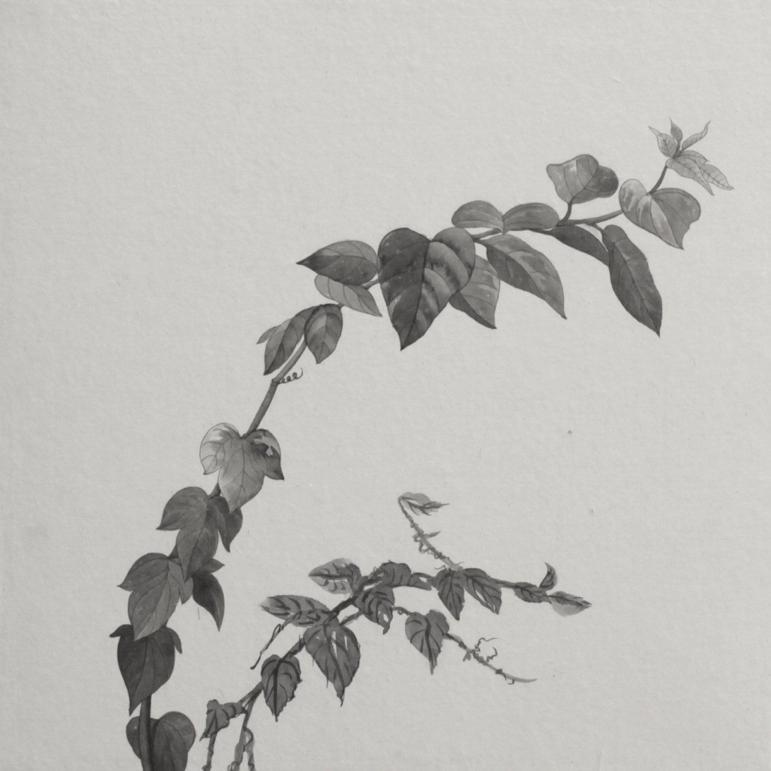 閑原 小草圖冊2- (21) 2012-2013紙本水墨畫 32x32cm