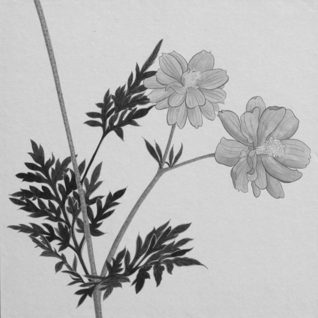 閑原 小草圖冊2- (22) 2012-2013紙本水墨畫 32x32cm