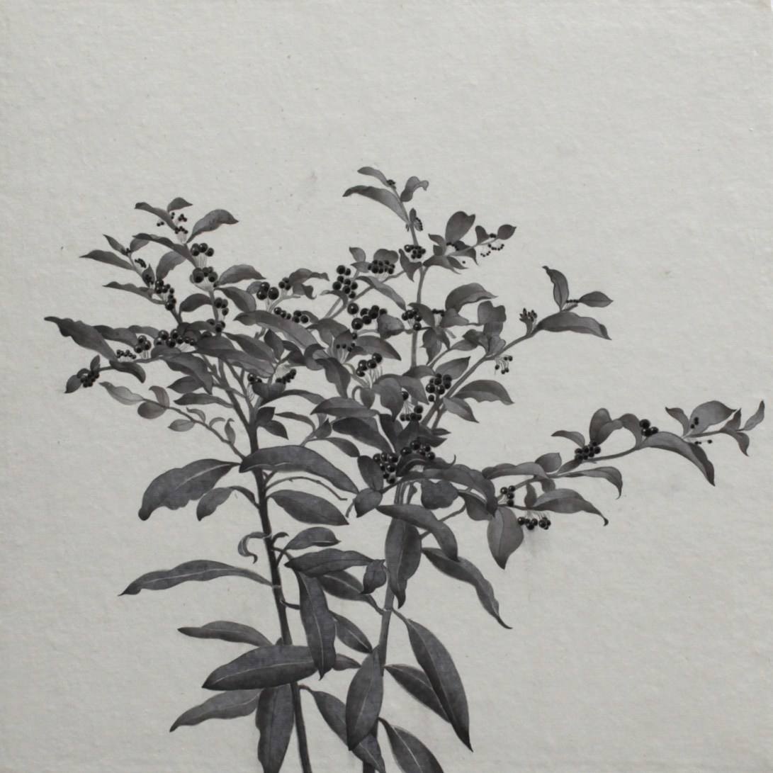閑原 小草圖冊2- (23) 2012-2013紙本水墨畫 32x32cm