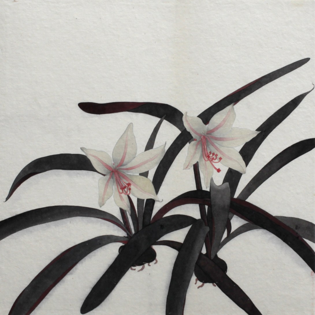 閑原 小草圖冊2- (24) 2012-2013紙本水墨畫 32x32cm