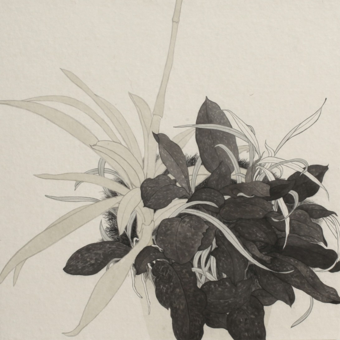 閑原 小草圖冊2- (33) 2012-2013紙本水墨畫 32x32cm