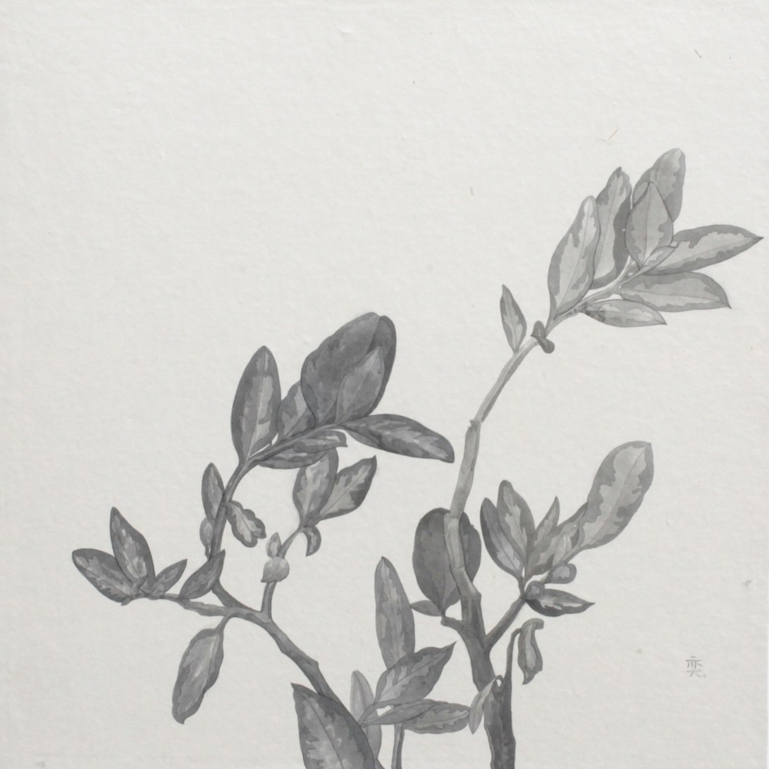 閑原 小草圖冊2- (38) 2012-2013紙本水墨畫 32x32cm