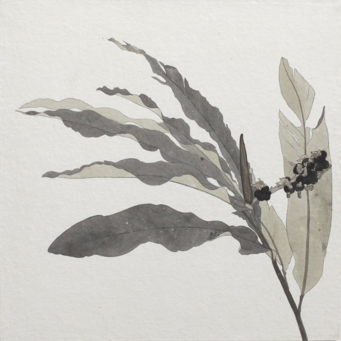 閑原 小草圖冊2- (42) 2012-2013紙本水墨畫 32x32cm
