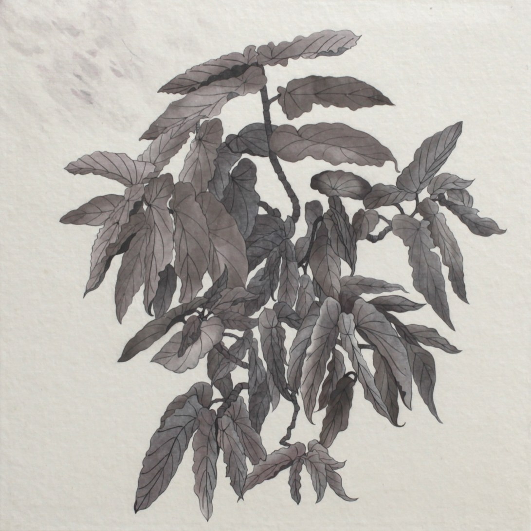 閑原 小草圖冊2- (44) 2012-2013紙本水墨畫 32x32cm