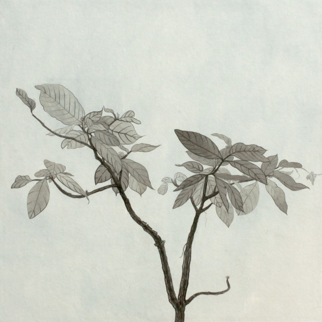 閑原 小草圖冊2- (45) 2012-2013紙本水墨畫 32x32cm