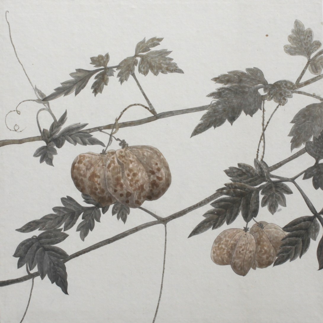 閑原 小草圖冊2- (6) 2012-2013紙本水墨畫 32x32cm