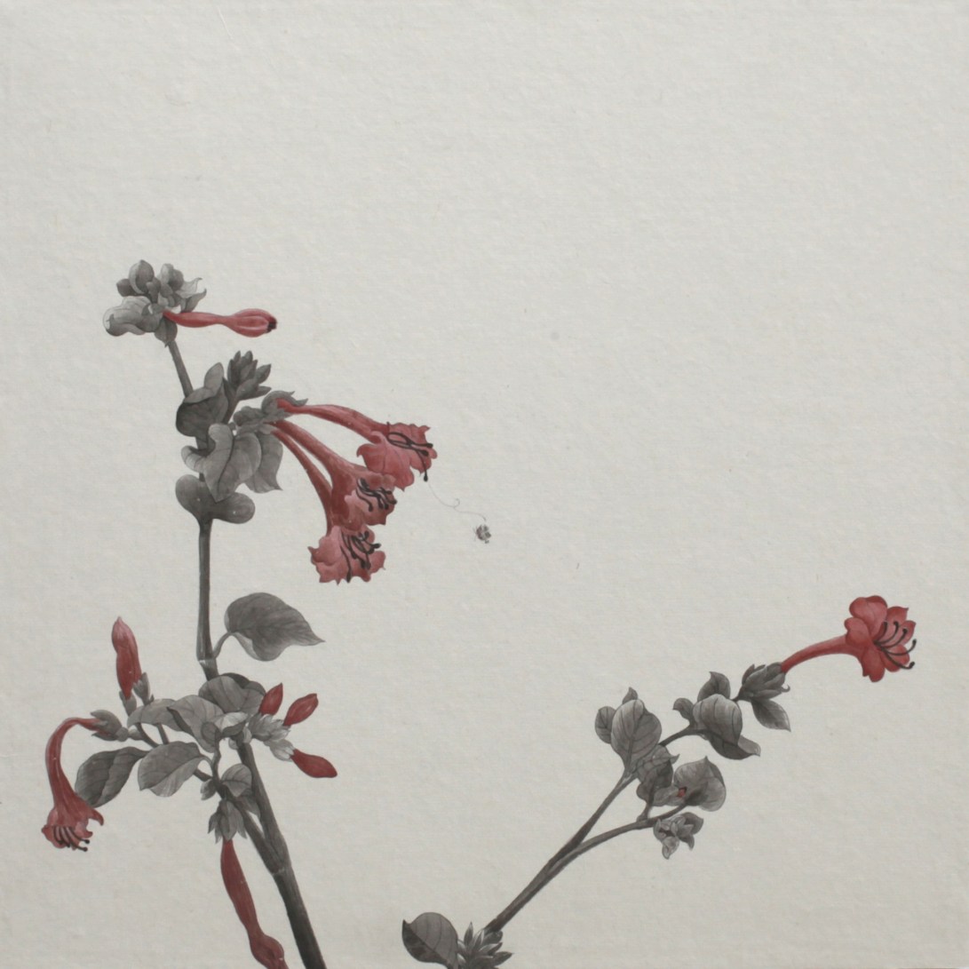 閑原 小草圖冊2- (7) 2012-2013紙本水墨畫 32x32cm