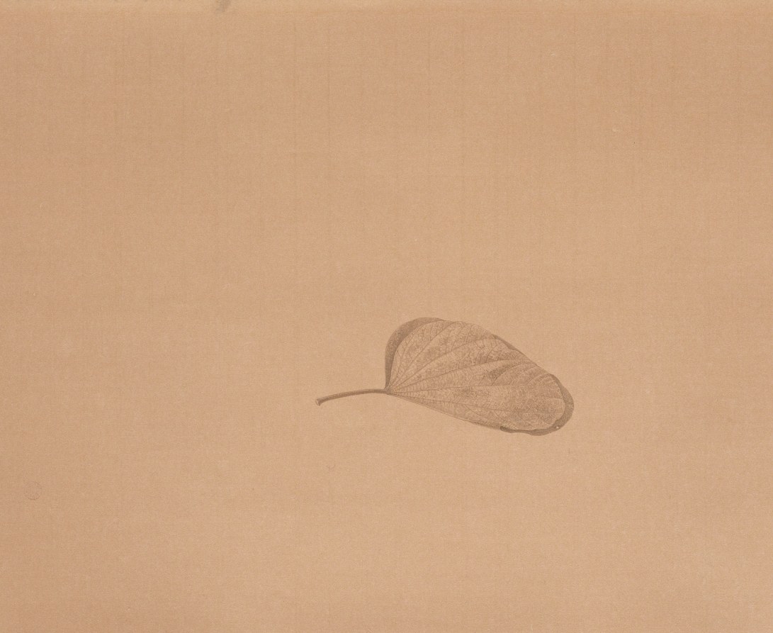 14不朽(二) 2014 水墨、泥金宣 38.5x47 cm(2才)